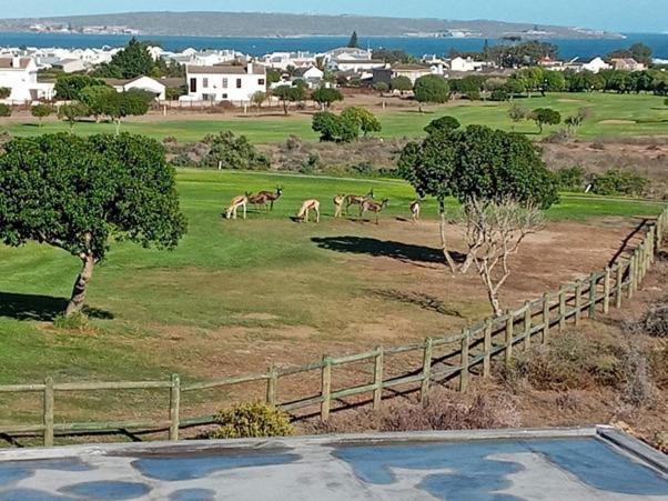 Villa Golf Estate - Signature Hole 24hrs Power