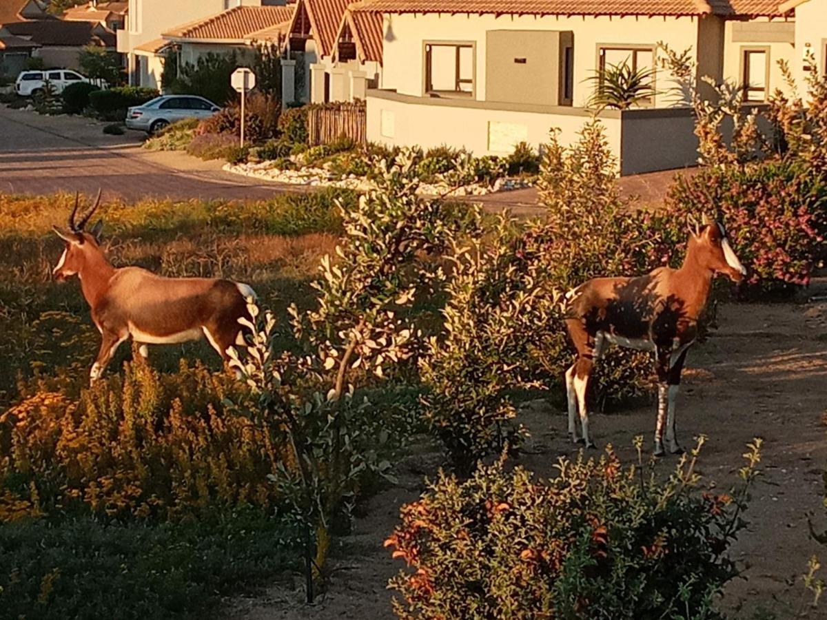Villa Golf Estate - Signature Hole 24hrs Power Langebaan