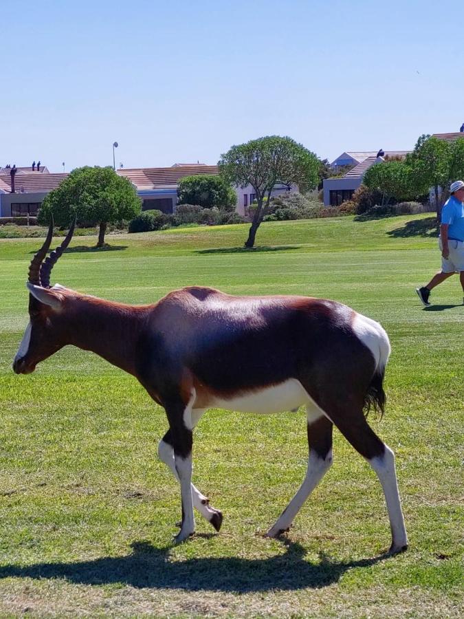 Golf Estate - Signature Hole 24hrs Power Villa Langebaan